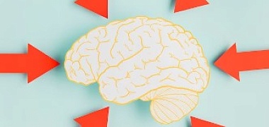 Андрей Курпатов открыл «ЗЕРКАЛА» мозга